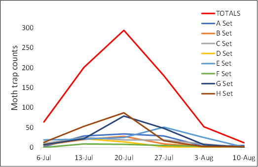 Western bean cutworm moth trap counts